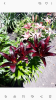 800x600-1689803926314_2023_07_10_22.29.14.png