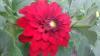 800x600-1546506751258_DSC_1613.jpg