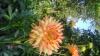 800x600-1546517235481_DSC_1794.jpg