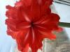 800x600-1738393400822_IMG_1564.jpeg