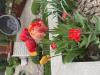 800x600-1776966474308_IMG_1148.jpeg