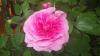 800x600-1547499634422_20170607_184456.jpg