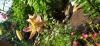 800x600-1717620290774_IMG_20240605_101635.jpg