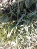 800x600-1587935162735_IMG_20200404_143015.jpg