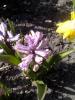 800x600-1587937253336_IMG_20200325_114113.jpg