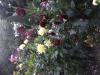 800x600-1770411085714_IMG_1430.jpeg