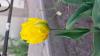 800x600-1652462616426_inbound844464643263626830.jpg