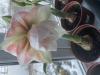 800x600-1772742823382_IMG_3280.jpeg