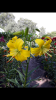 800x600-1689019858719_2023_07_10_23.06.25.png