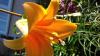 800x600-1600102336629__2_1_.jpg