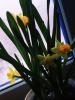 800x600-1588539499725_IMG_20200503_070806.jpg
