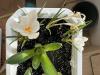 800x600-1740469663766_IMG_7367.jpeg