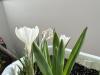 800x600-1740469663983_IMG_7366.jpeg