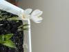 800x600-1740469664631_IMG_7317.jpeg