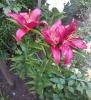 800x600-1627022495221_IMG_20210721_202750_2.jpg