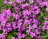 800x600-1628106172612__3.png