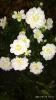 800x600-1640268542786_Screenshot_2021-12-23-16-00-43-213_com.miui.gallery.jpg