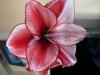 800x600-1740038774459_IMG_3769.jpeg