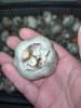 800x600-1600109023464_IMG_tigr_20200914_211723.jpg