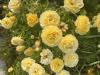 800x600-1707465814559_IMG_1609.jpeg