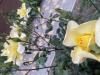 800x600-1716839438750_IMG_7298.jpeg