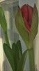 800x600-1613677620885_6BD87CC9-FE18-4FA8-A7BF-15DB42B39D14.png