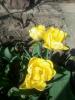 800x600-1556181322905__0563.jpg