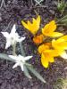 800x600-1588163864384_IMG_20200308_141954.jpg