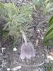 800x600-1587497712668_IMG_20200410_174130.jpg