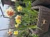 800x600-1743590933801_IMG_0770.jpeg