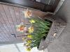 800x600-1743590933891_IMG_0758.jpeg