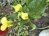 800x600-1771446879442_IMG_2541.jpeg