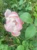 800x600-1716893579934_camphoto_959030623.jpeg