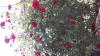 800x600-1664472138335_20190601_102651.jpg