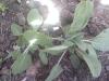 800x600-1558537944253_IMG_20190507_122404.jpg