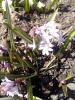 800x600-1558948035549_IMG_20190406_103455.jpg