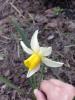 800x600-1559283737755_IMG_20190412_164512.jpg