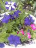800x600-1559592943991_IMG_20190603_162541.jpg