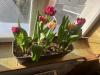 800x600-1773240615891_IMG_7129.jpeg