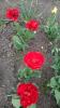 800x600-1559156485769_IMG-48a4ef21c959bcc6097ddfeac719a0d8-V.jpg