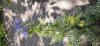 800x600-1657550555362_20220624_125301.jpg