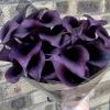 800x600-1747061602889_The-mysterious-black-calla-Odessa.jpg