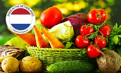 Голландские семена овощей