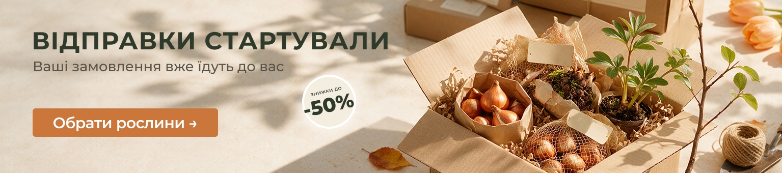 Осінній Розпродаж &mdash; Знижки до -50%