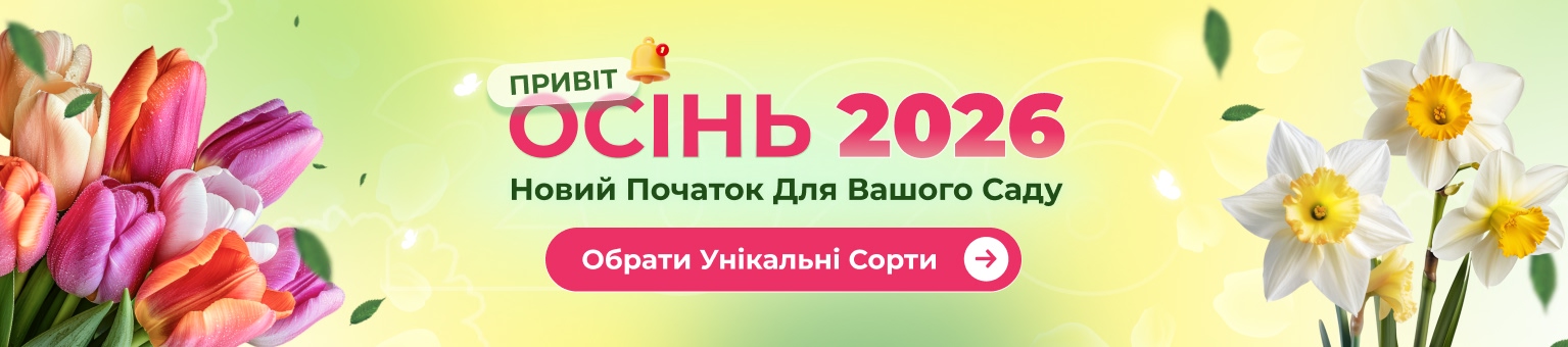 Открытие сезона Осень 2026 &mdash; Весна начинается осенью