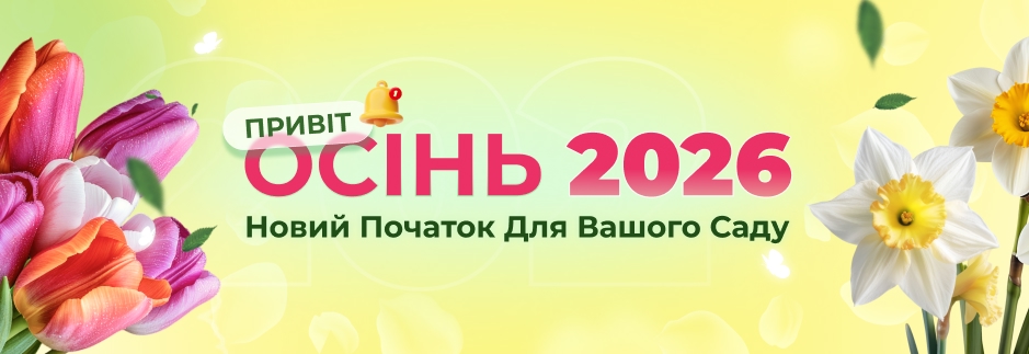Открытие сезона Осень 2026 Florium