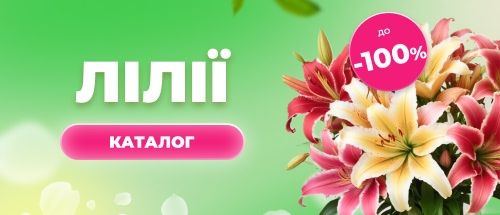 Купити лілії зі знижкою