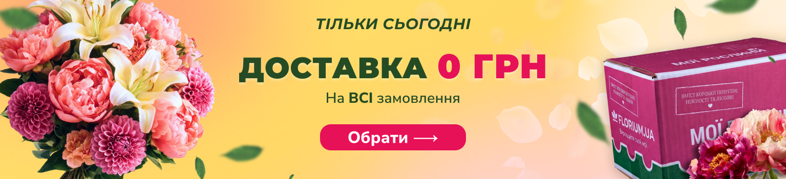 Бесплатная доставка &mdash; Только сегодня