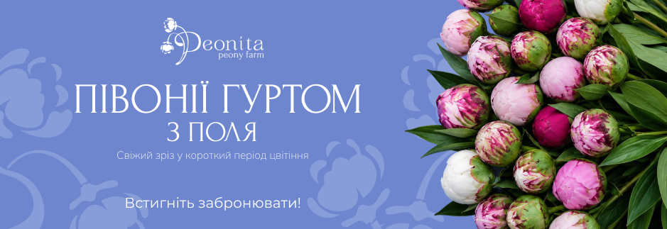 Пионы оптом с поля Peonita