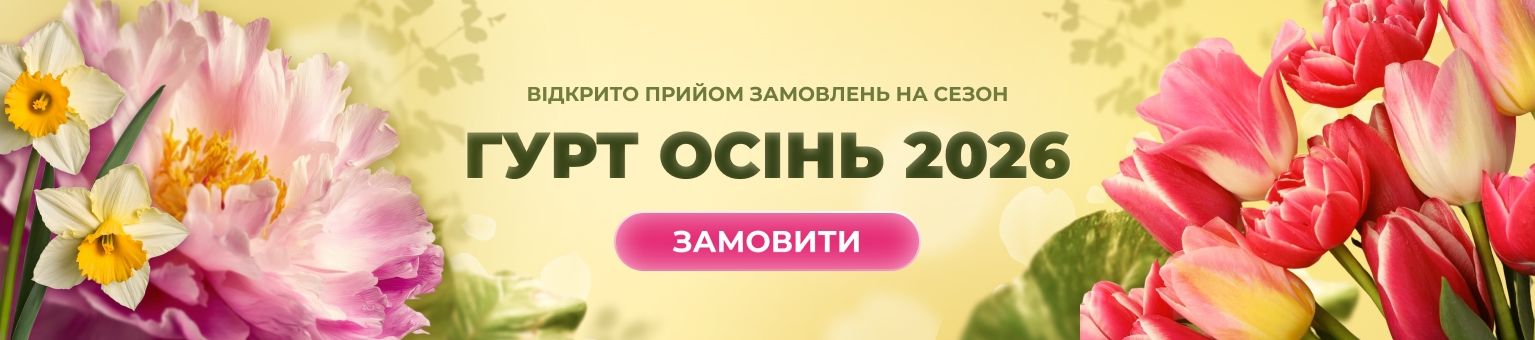 Оптовые заказы